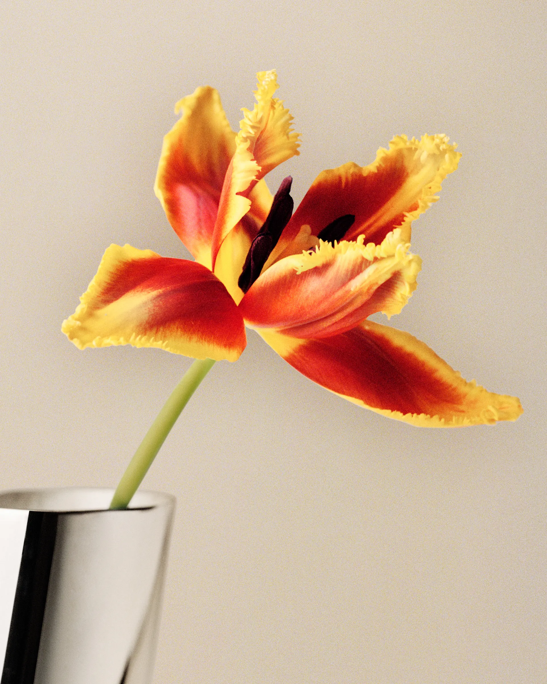 Vaso Lituus large 34,2 cm, Aço inoxidável Georg Jensen