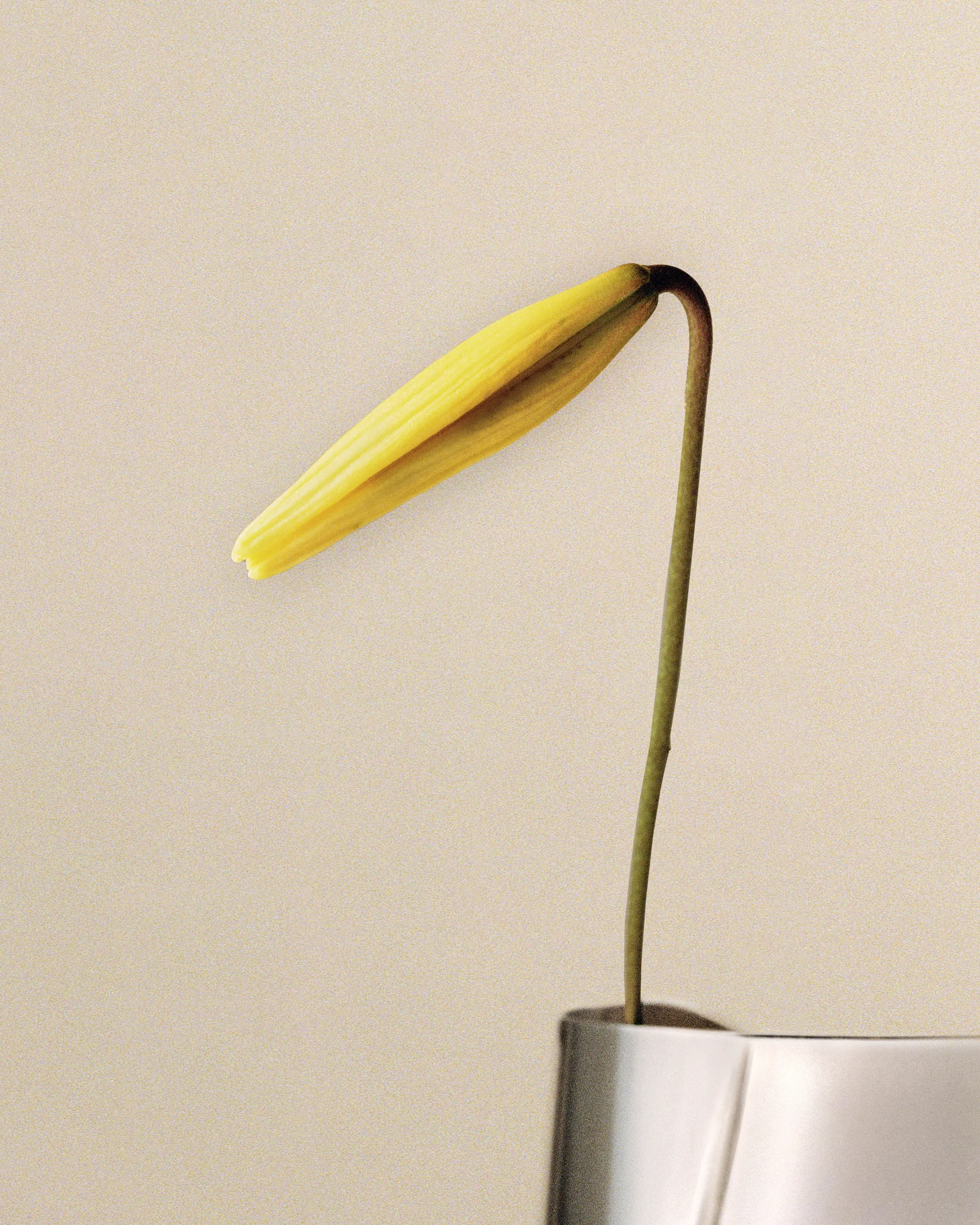 Vaso Lituus large 34,2 cm, Aço inoxidável Georg Jensen