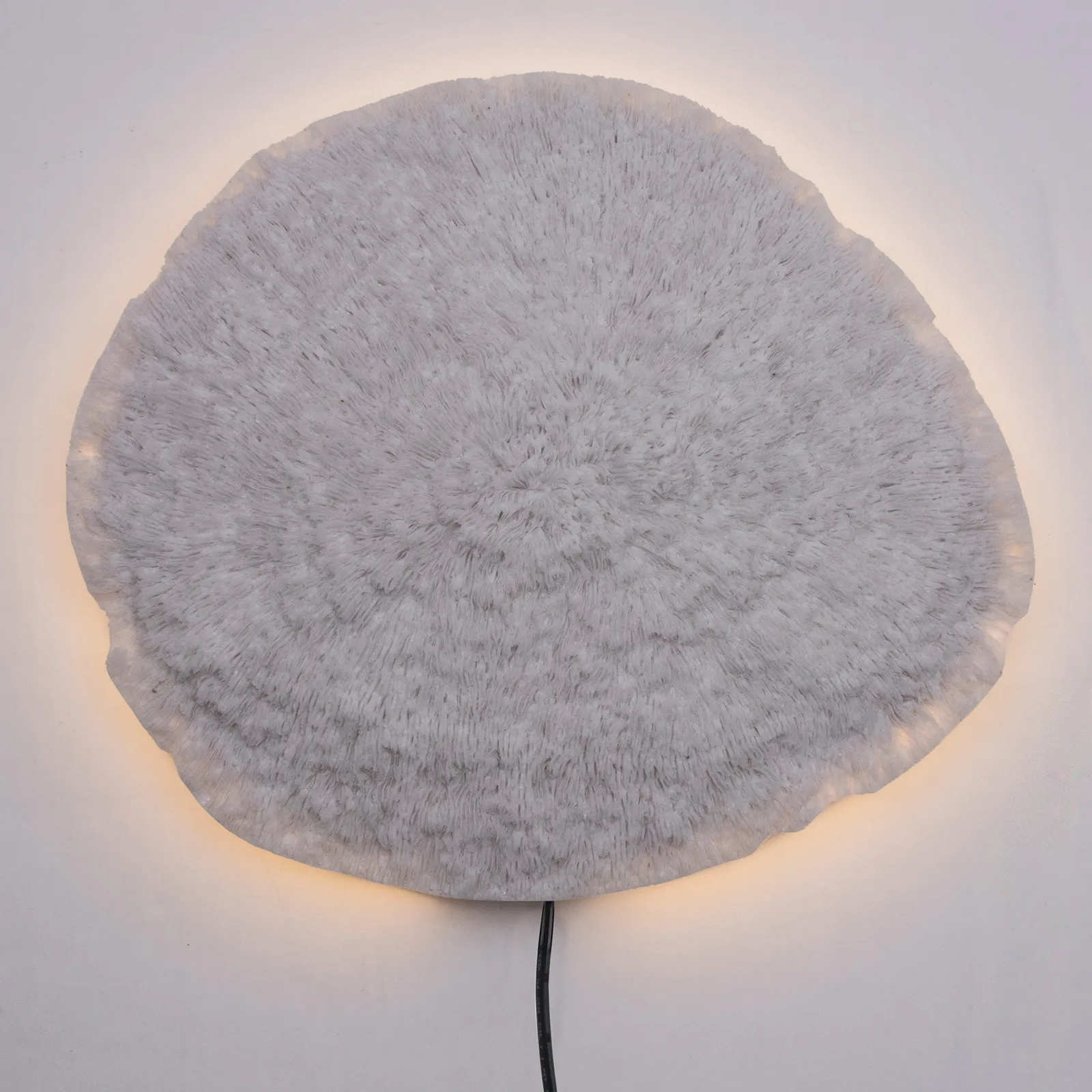 Candeeiro de parede branco Nemo, 36 cm Globen Lighting