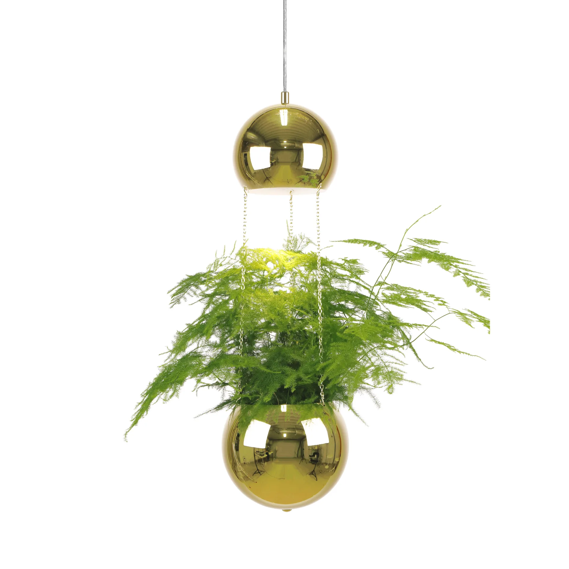 Candeeiro de teto com vaso de plantas Planter, latão Globen Lighting