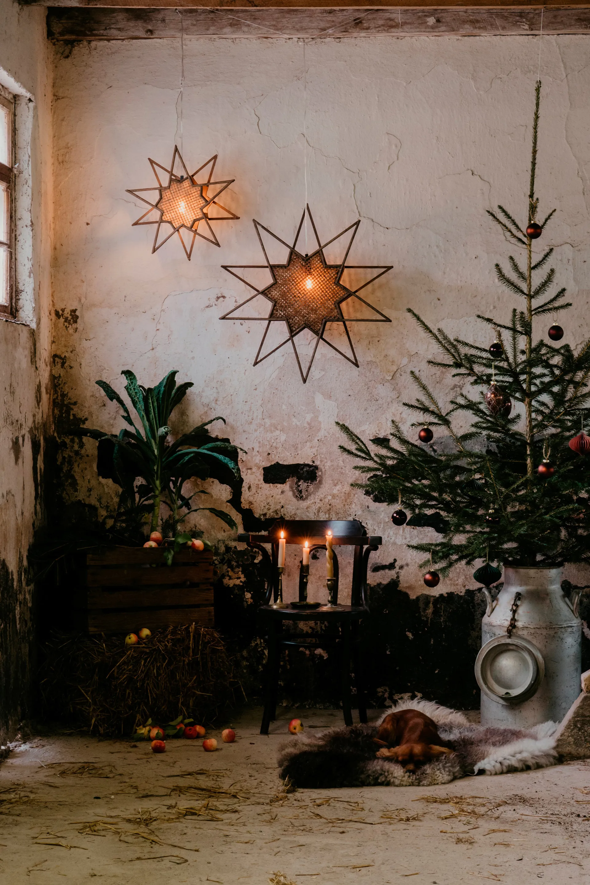 Estrela de Natal Karin Ø70 cm, Brown Globen Lighting