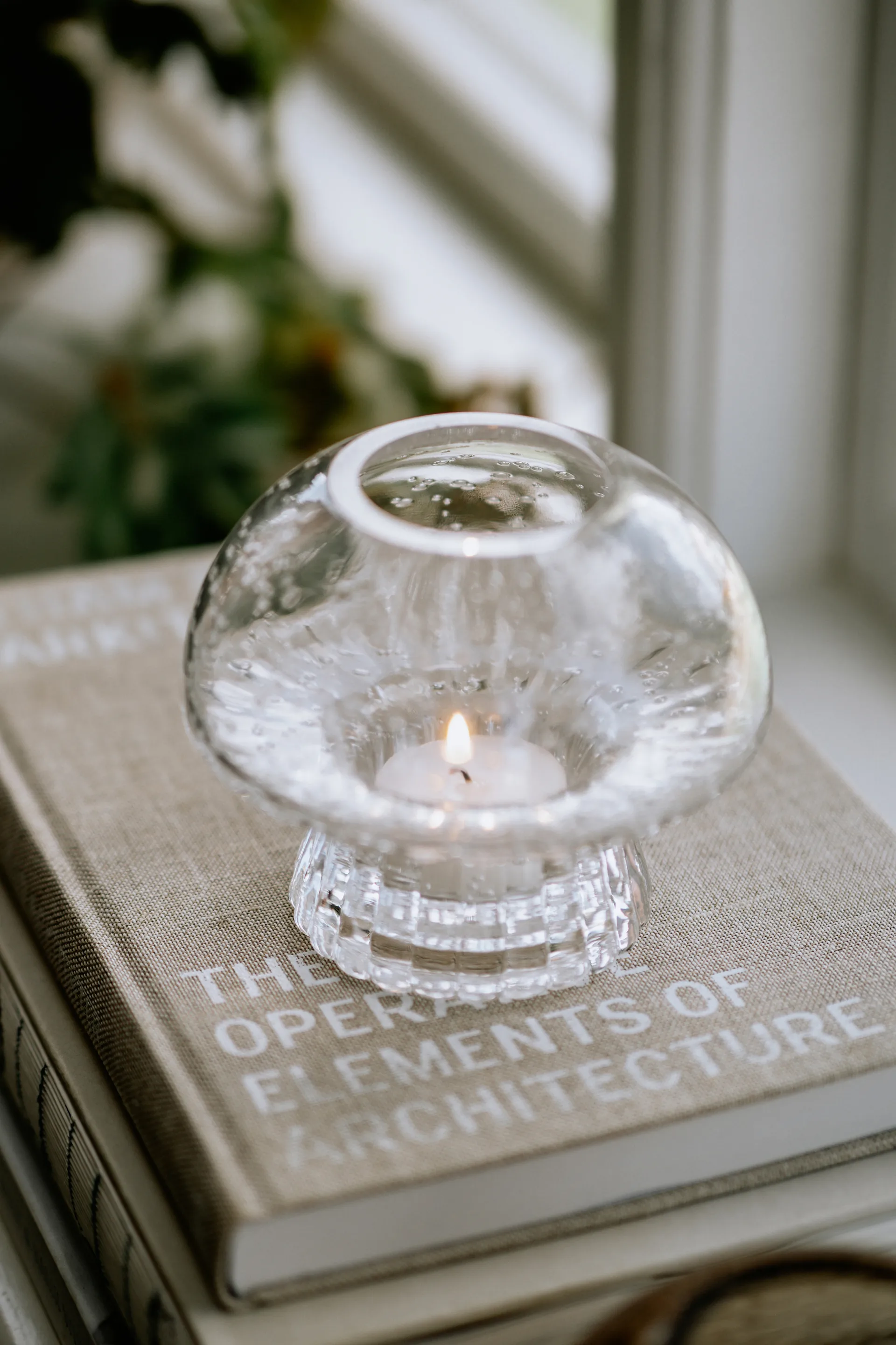 Fungo 12 porta-velas edição especial, Transparente Globen Lighting