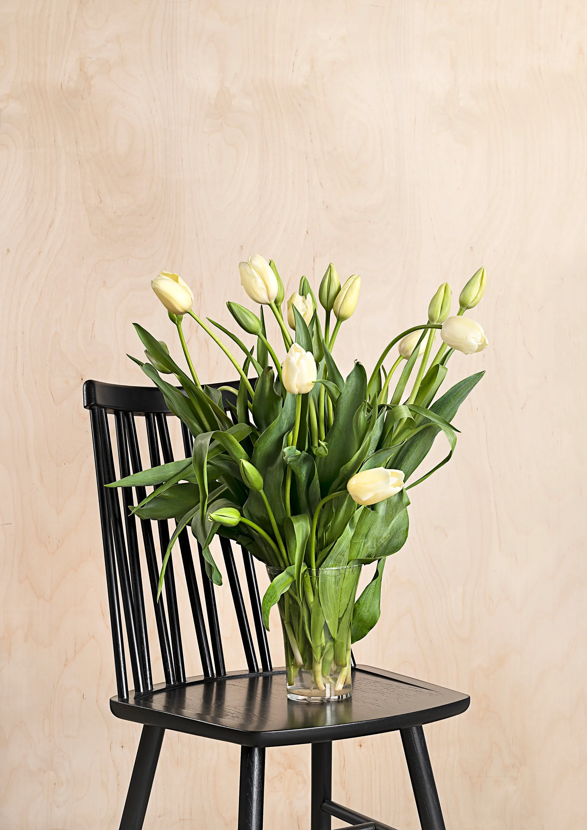 ZigZag cadeira, Freixo preto manchado Hans K