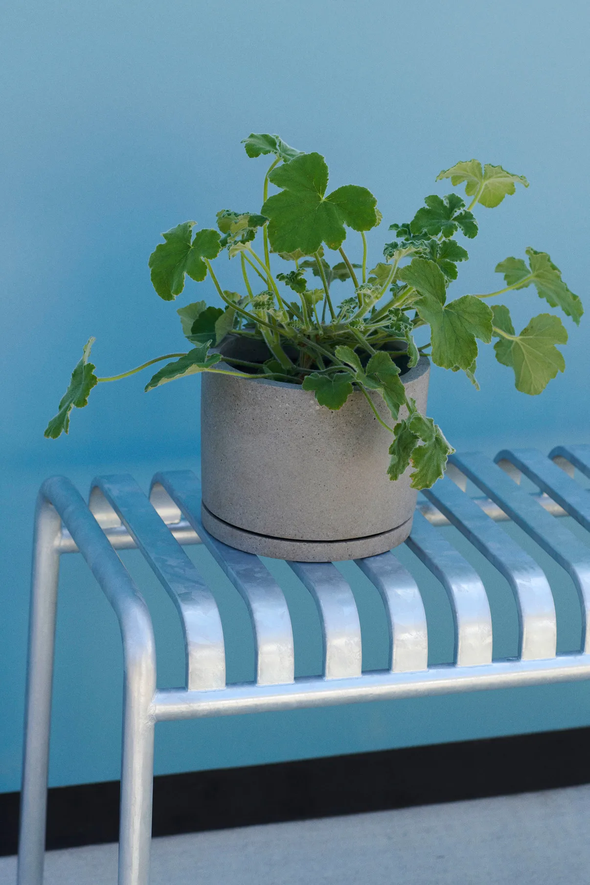 Banco 120x42 cm Palissade, Hot galvanised HAY