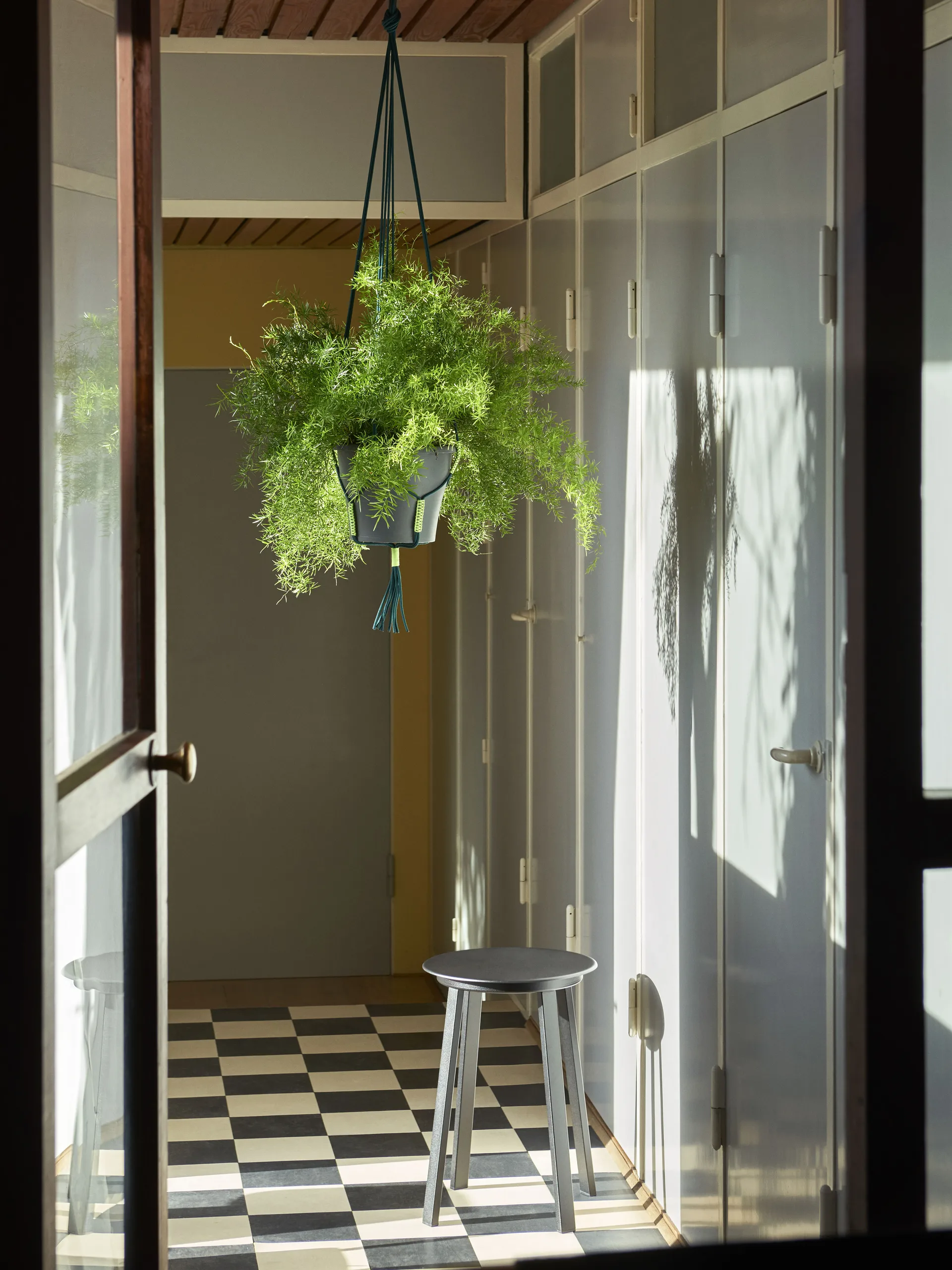 Suporte de vaso suspenso Phanta, Verde HAY