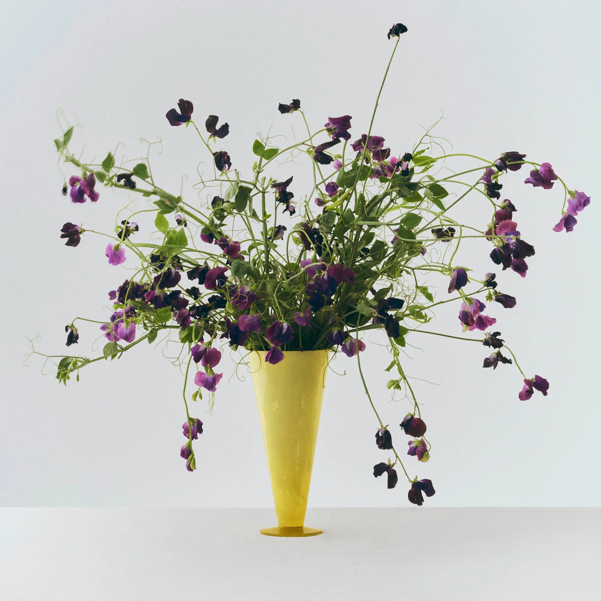 Vaso Conical, Yellow-lime green, large HAY