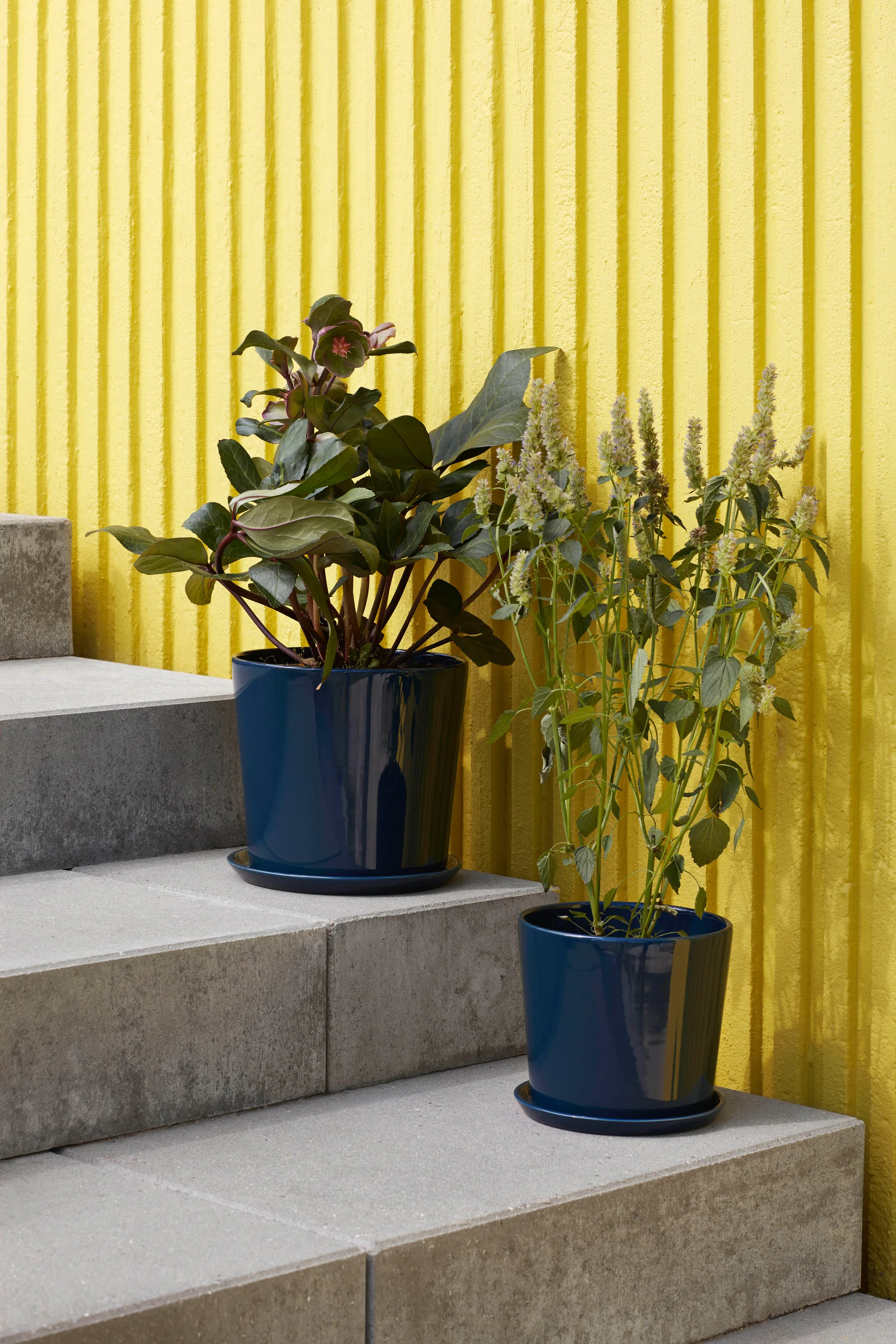 Vaso de flores Botanical Family L Ø18 cm, Azul escuro HAY