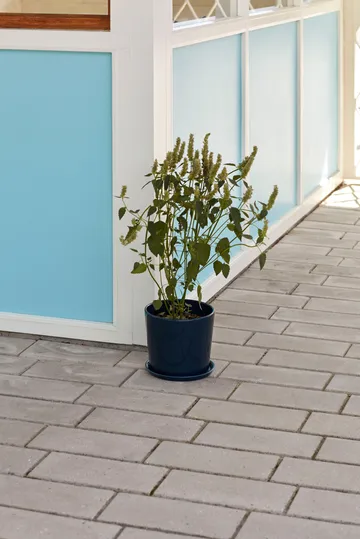 Vaso de flores Botanical Family XL Ø22 cm - Azul escuro - HAY