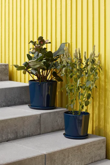 Vaso de flores Botanical Family XL Ø22 cm - Azul escuro - HAY