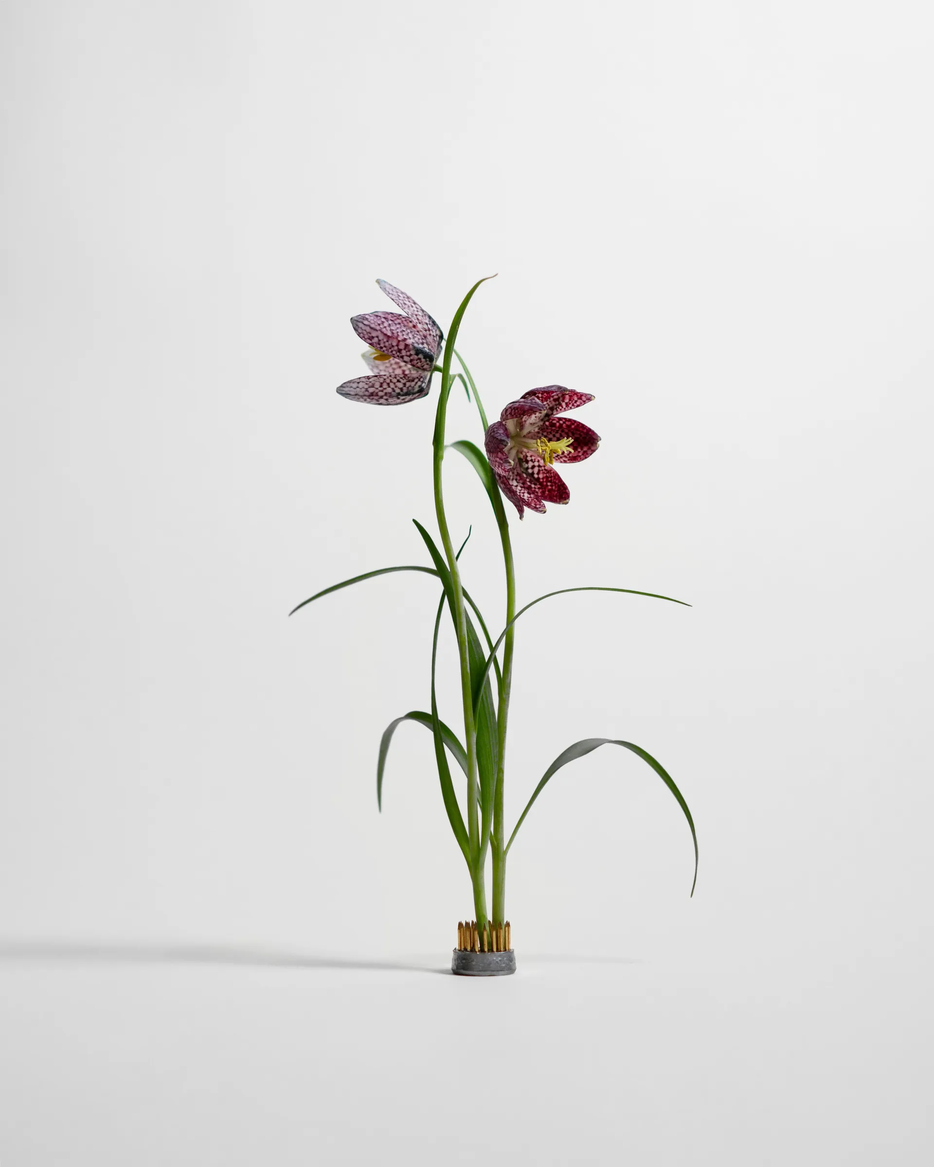 Kenzan vaso, Ø2,3 cm Hein Studio