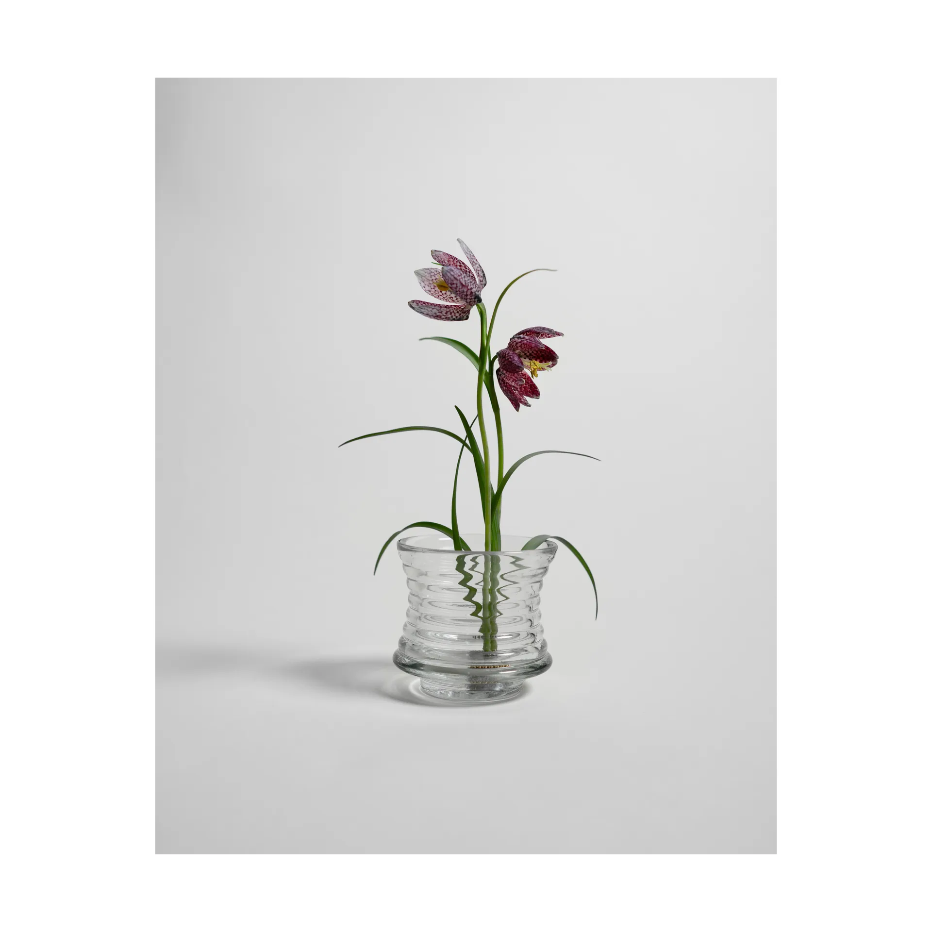 Kenzan vaso, Ø6 cm Hein Studio