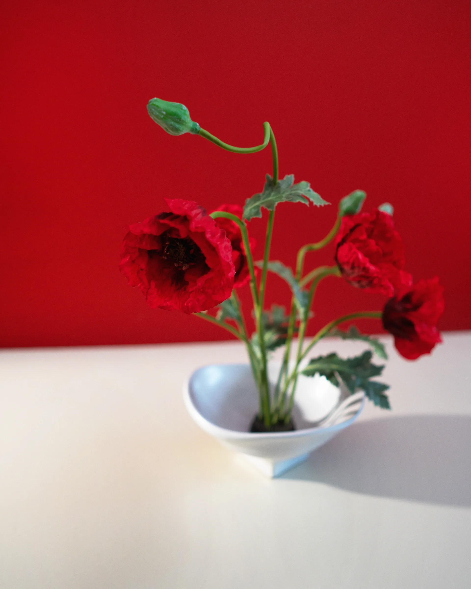 Tiggela Nami large 20x23 cm, White Hein Studio