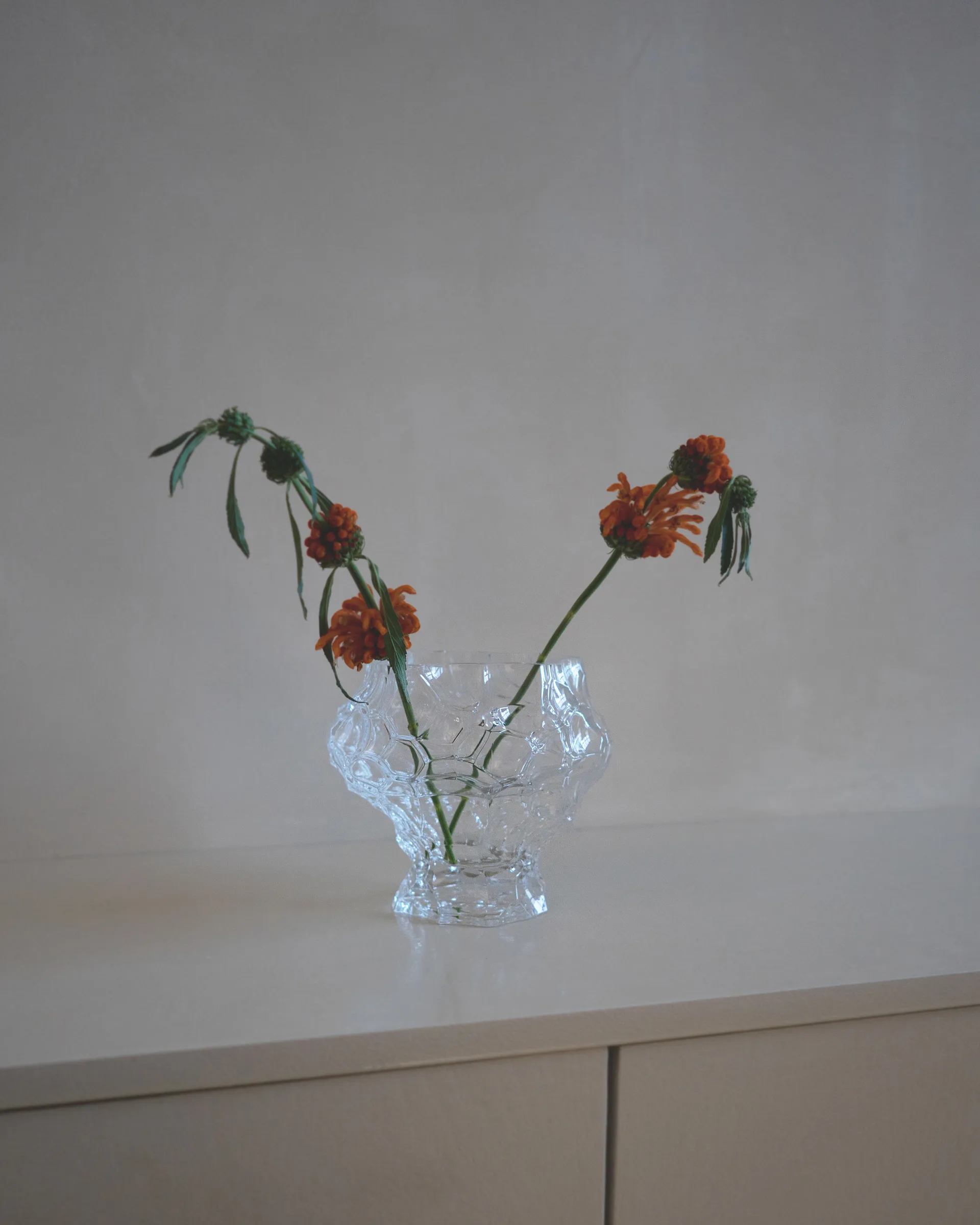 Vaso Canyon medium 18 cm, Clear Hein Studio