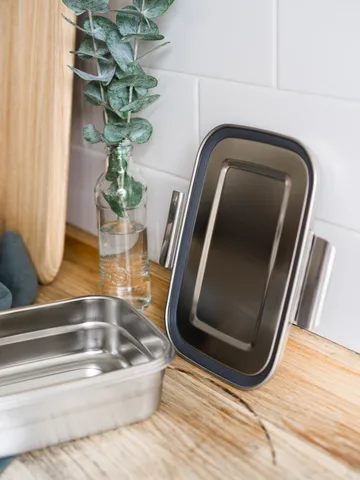 Recipiente para comida Heirol - 1,56 L - Heirol