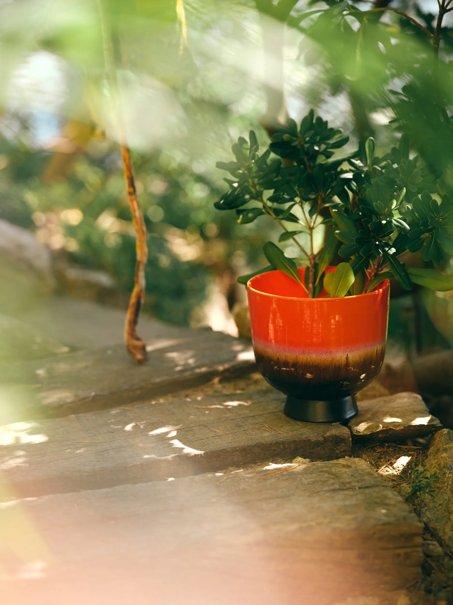 Retro vaso de flores Ø20,5 cm, Vermelho cereja HKliving