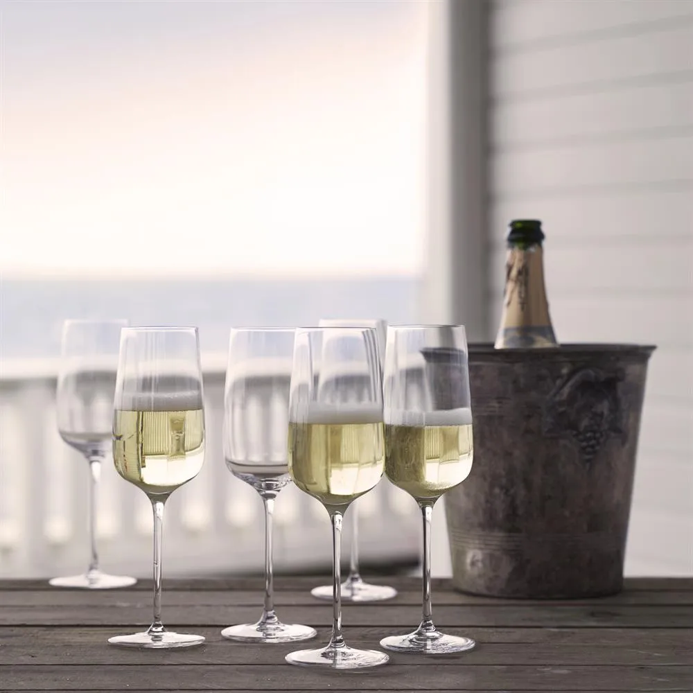 Copo de champanhe Bouquet 6 un. 29 cl Holmegaard