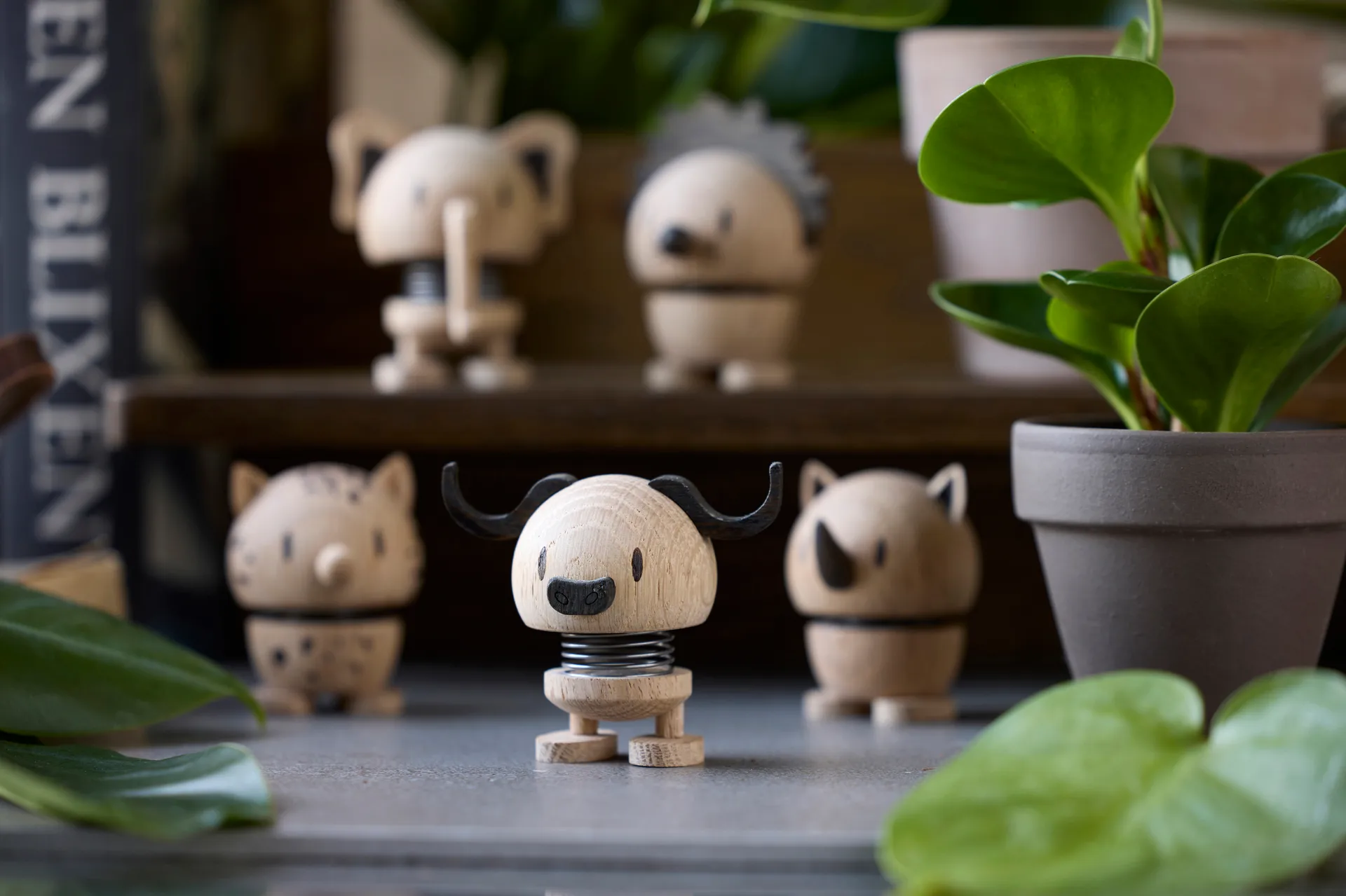 Figura Hoptimist S, Lion, carvalho Hoptimist