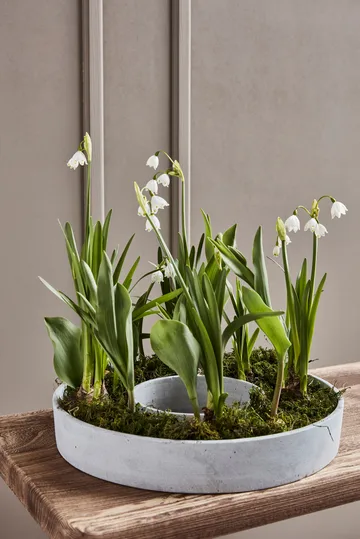 Castiçal Ring para velas de bloco - Concreto - House Doctor