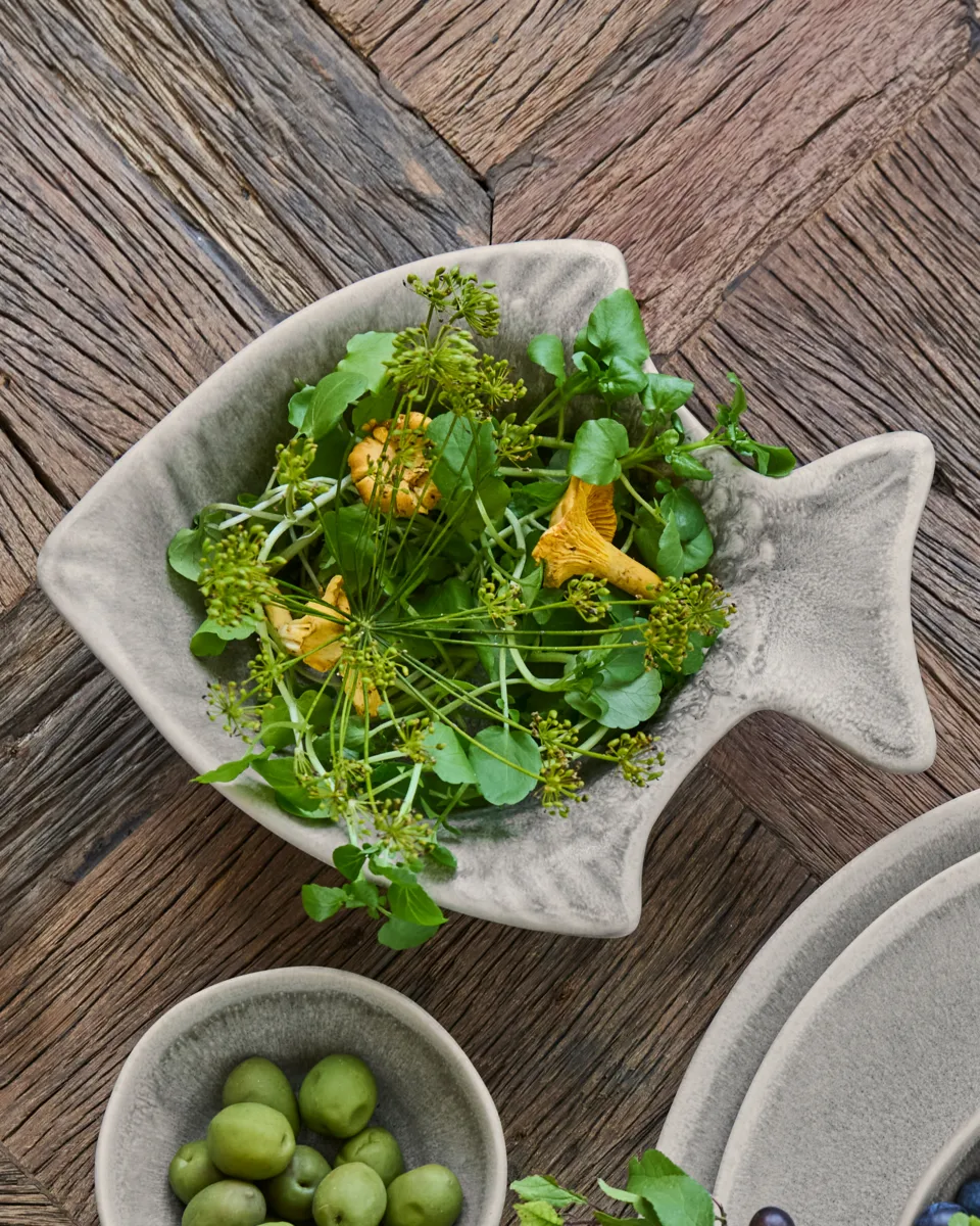 Maki travessa de servir, Cinza House Doctor