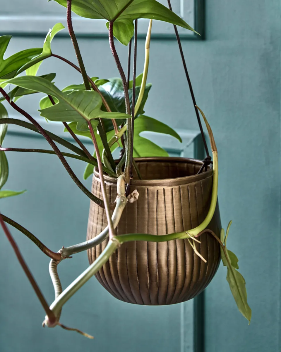 Plan vasos suspensos 2 peças, Dourado House Doctor