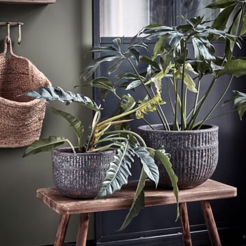 Pote de flores Suco 2-unid. - Cinza - House Doctor