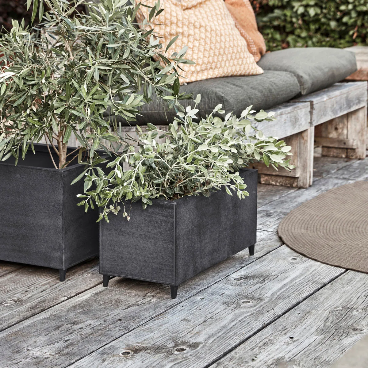 Pote de plantas Pile conjunto de 2, Cinza House Doctor