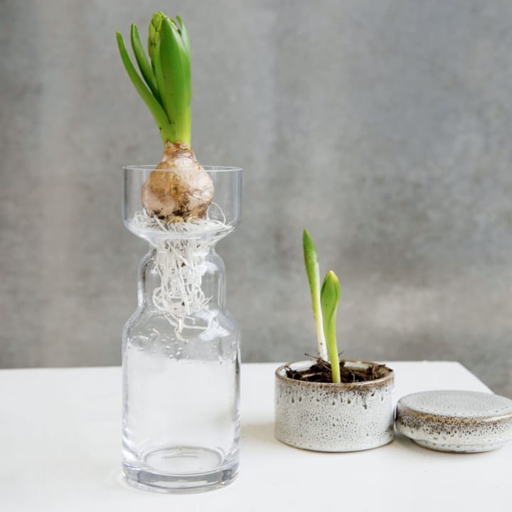 Vaso de vidro Cinth - cinth - House Doctor