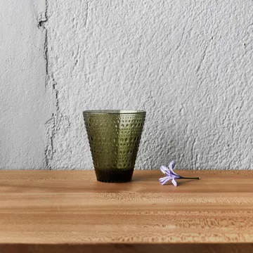 Copo Kastehelmi 30 cl 2 un. - verde musgo - Iittala