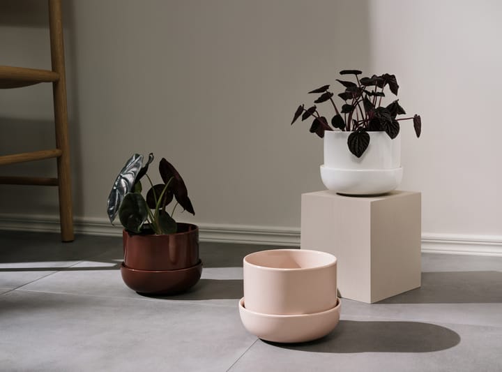 Nappula vaso com prato Ø17 cm h13 cm, Bege Iittala
