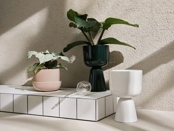 Nappula vaso com prato Ø17 cm h13 cm - Bege - Iittala