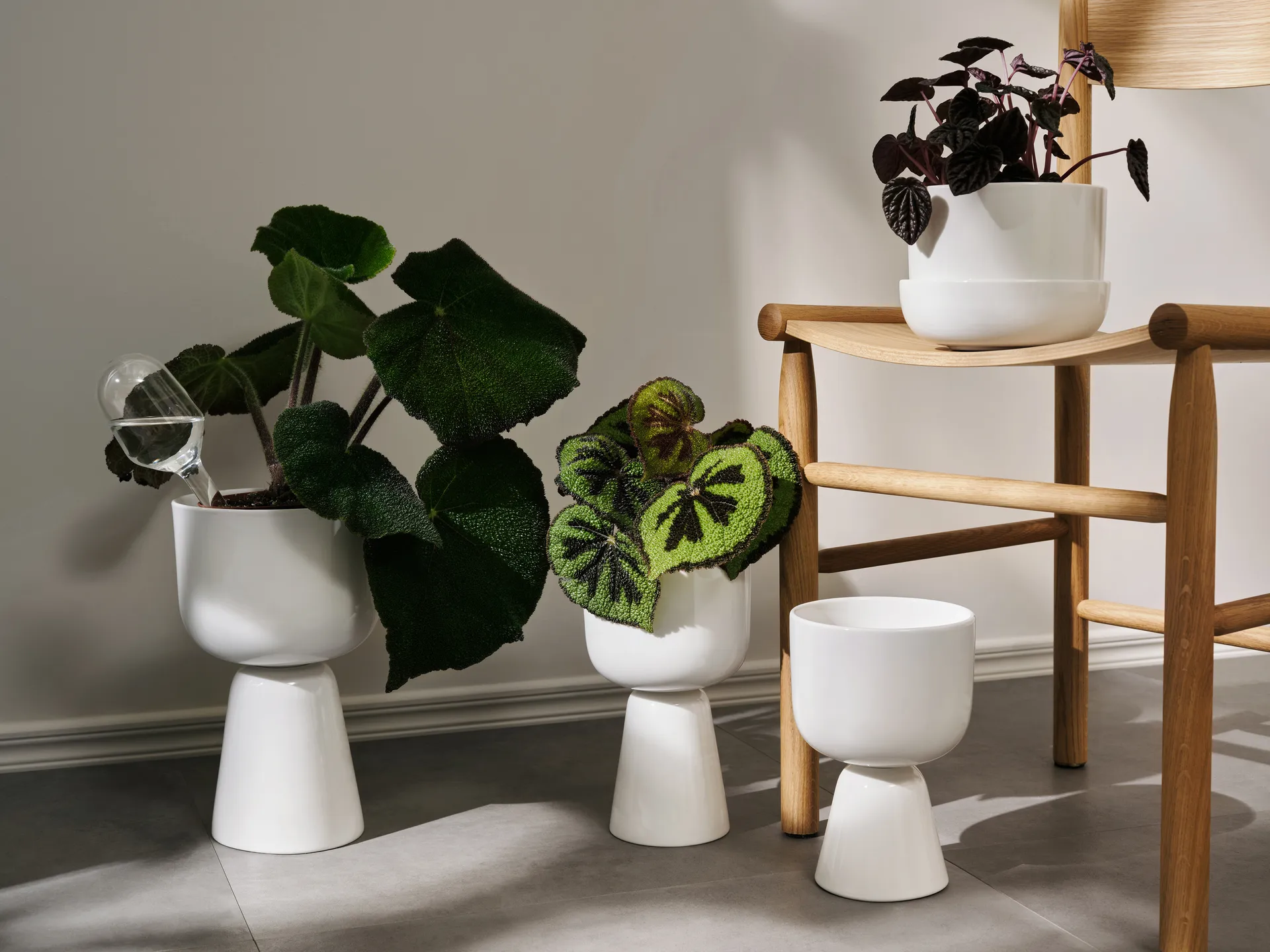 Nappula vaso com prato Ø17 cm h13 cm, Branco Iittala