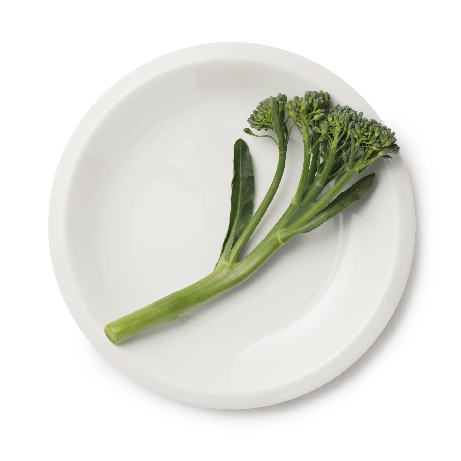 Prato pequeno Raami 17 cm, branco Iittala