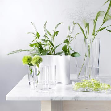 Vaso duplo Aalto - transparente - Iittala