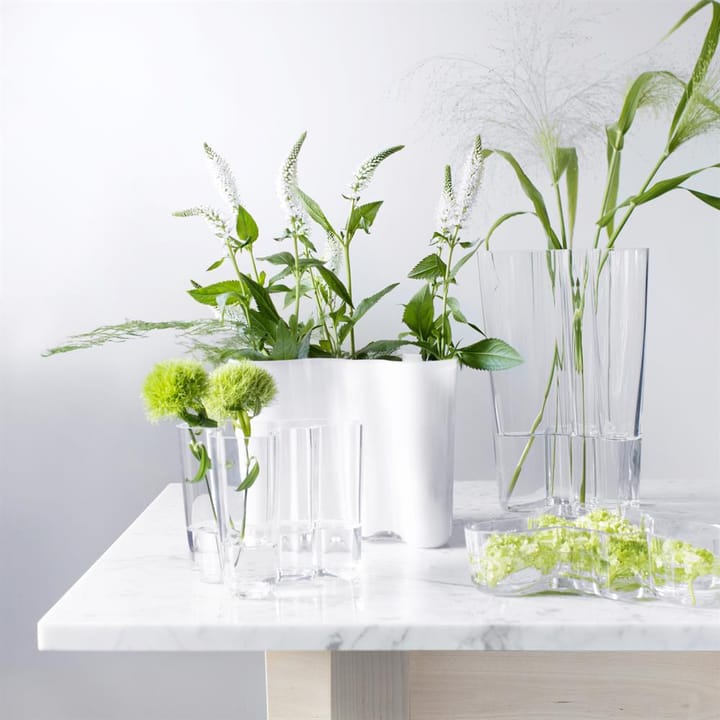 Vaso duplo Aalto, transparente Iittala