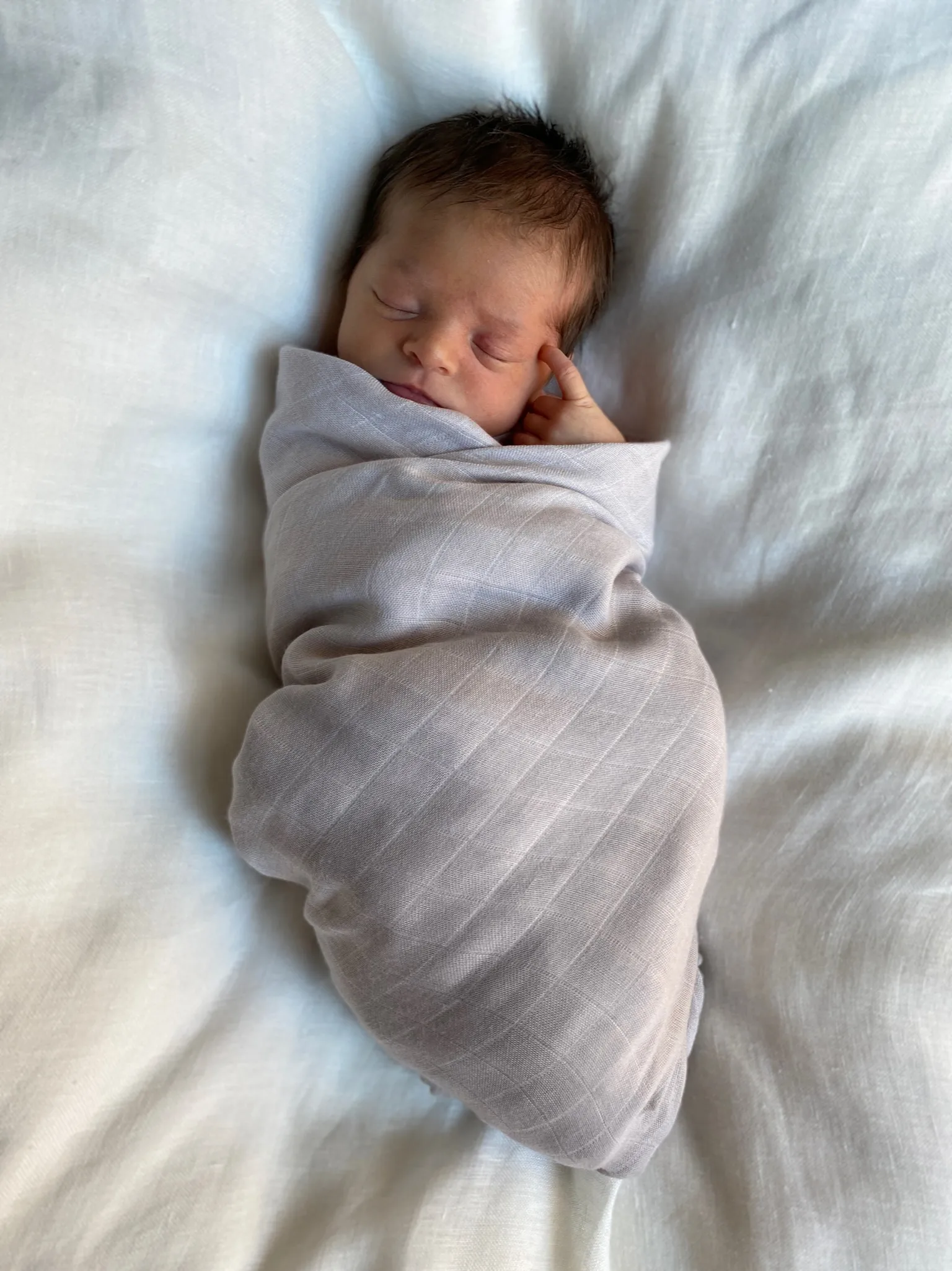 Manta de musselina Pom Pom 120x120 cm, 2 un., Pearl & Dusty gray Jack o Juno