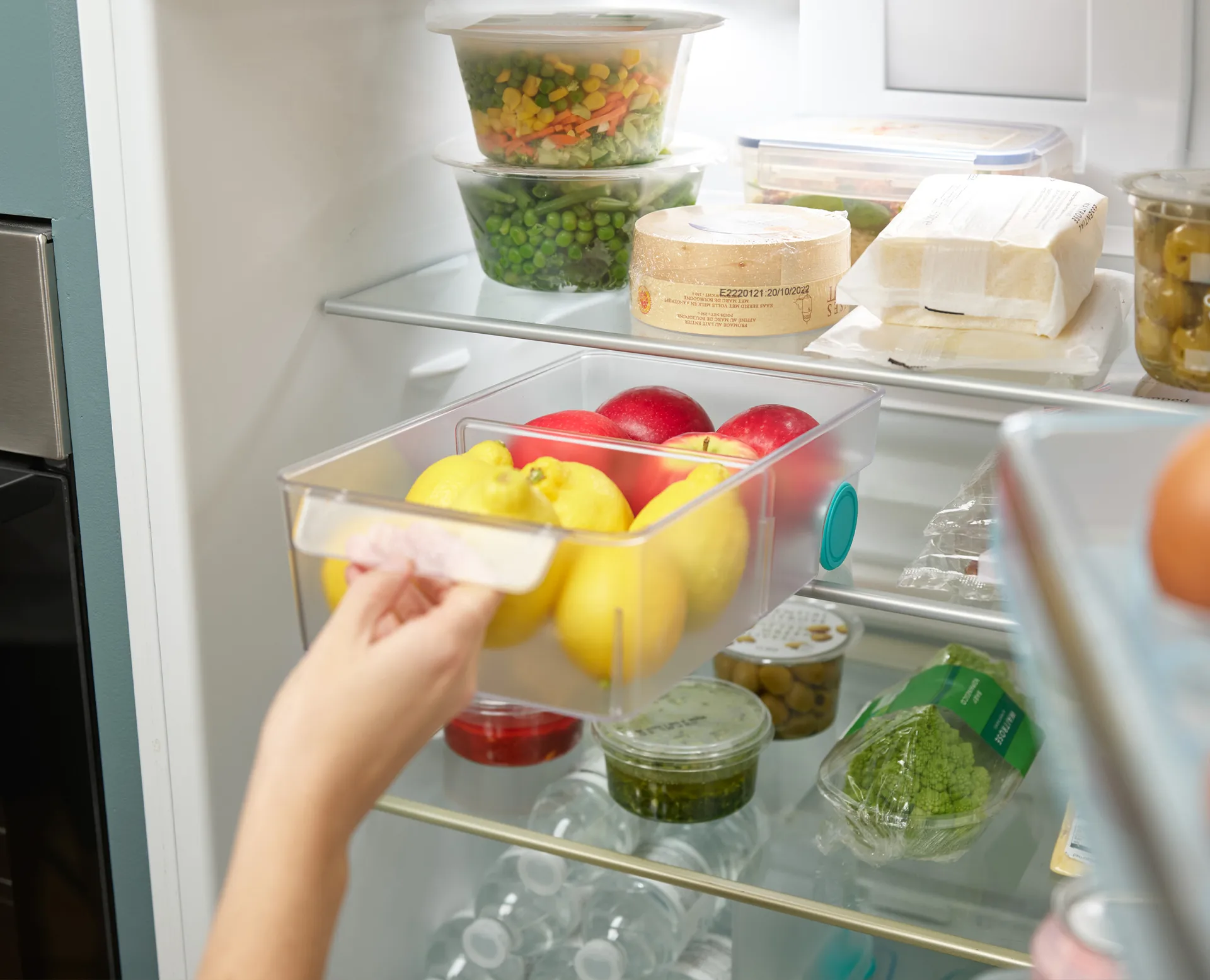 Fridgestore Armazenamento para frigorífico Grande, Transparente Joseph Joseph