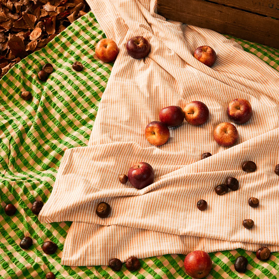 Conjunto de cama Monochrome Lines 150x210 cm, Branco-ocre Juna