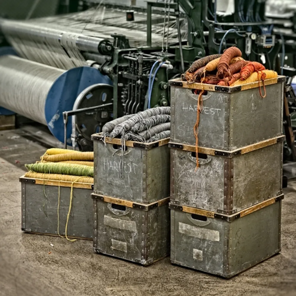 Tapete Harvest, Azul 300x200 cm Kasthall