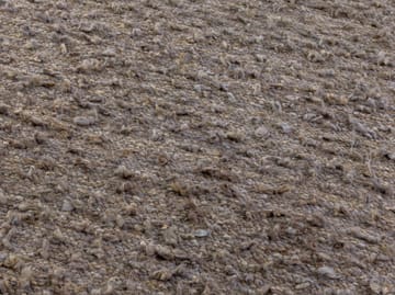 Tapete Woolly  - Marrom claro 170x240 cm - Kateha
