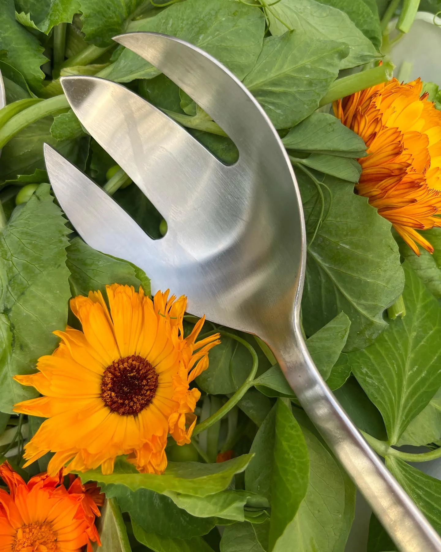 Grand Prix garfo de servir 23.5 cm, Aço polido Kay Bojesen