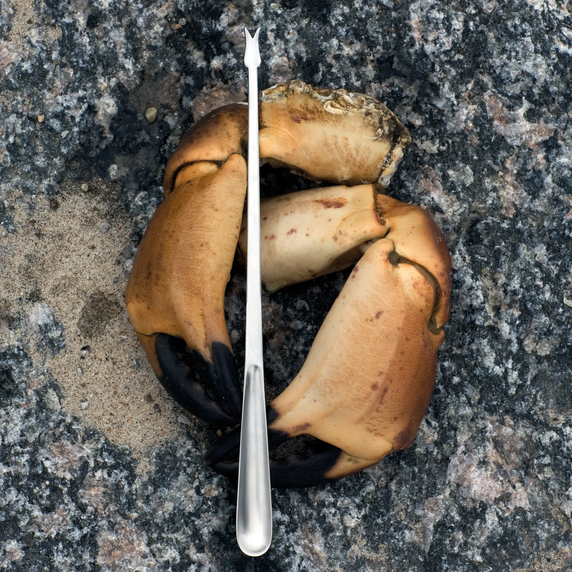 Grand Prix talheres de marisco 8 peças, Aço matte Kay Bojesen