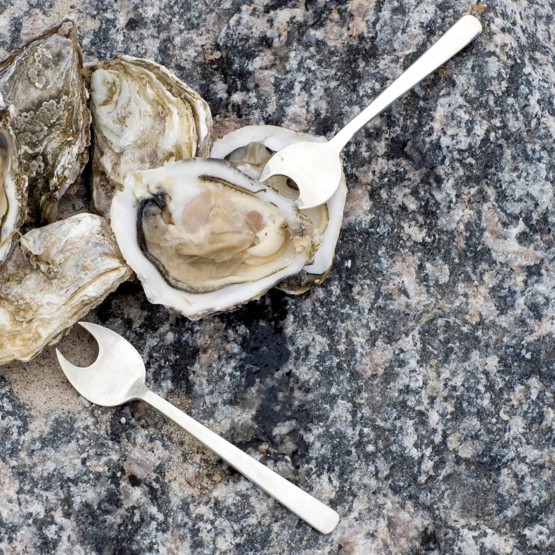 Grand Prix talheres de marisco 8 peças, Aço polido Kay Bojesen