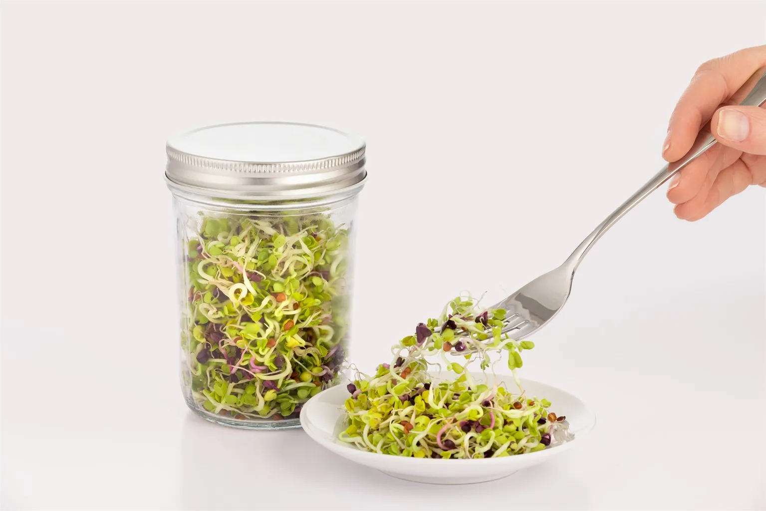 Conjunto de germinação Kilner, Transparente-branco, 500 ml Kilner