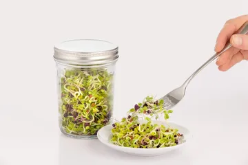 Conjunto de germinação Kilner - Transparente-branco, 500 ml - Kilner