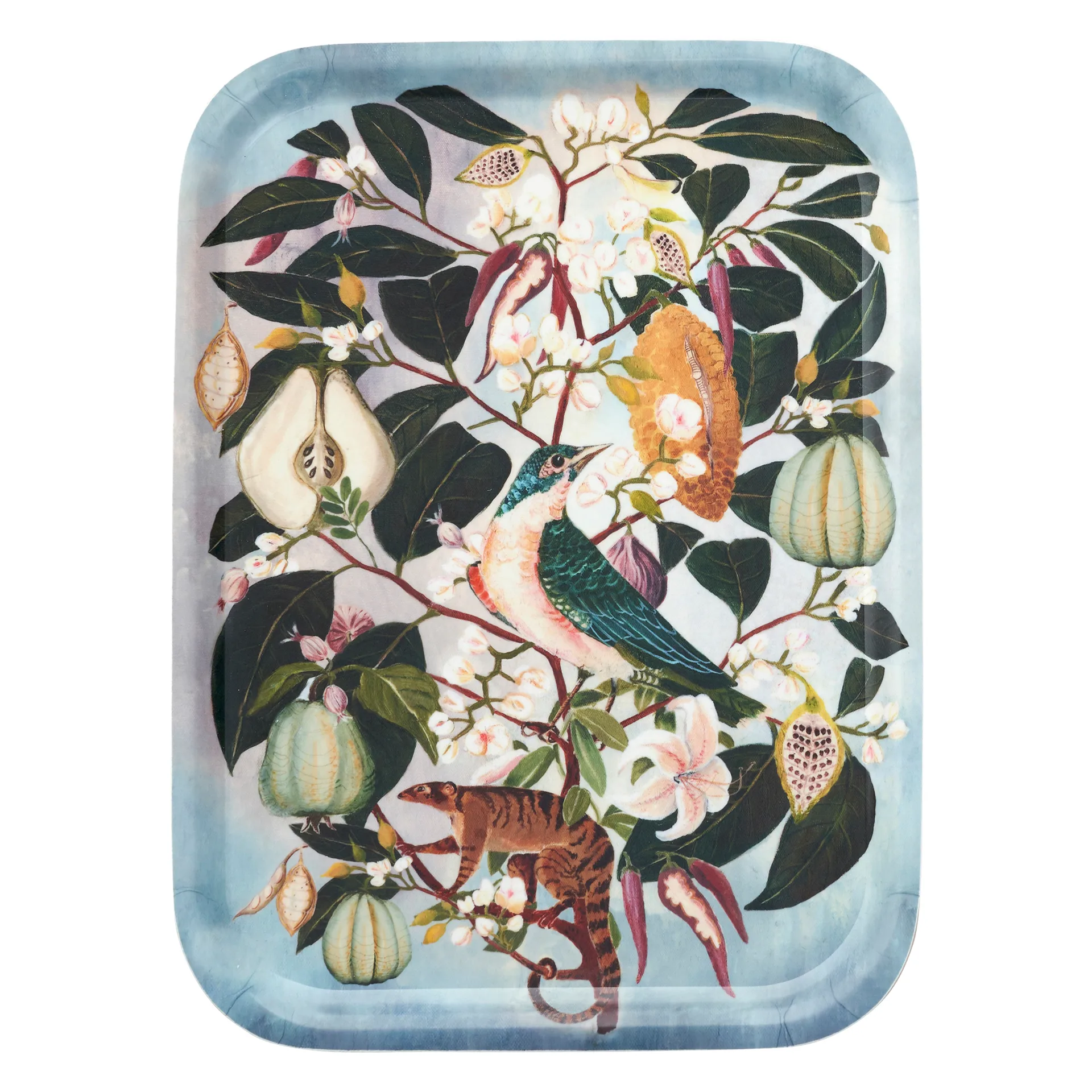 Tabuleiro Fruits 20x27 cm, multi Klippan Yllefabrik