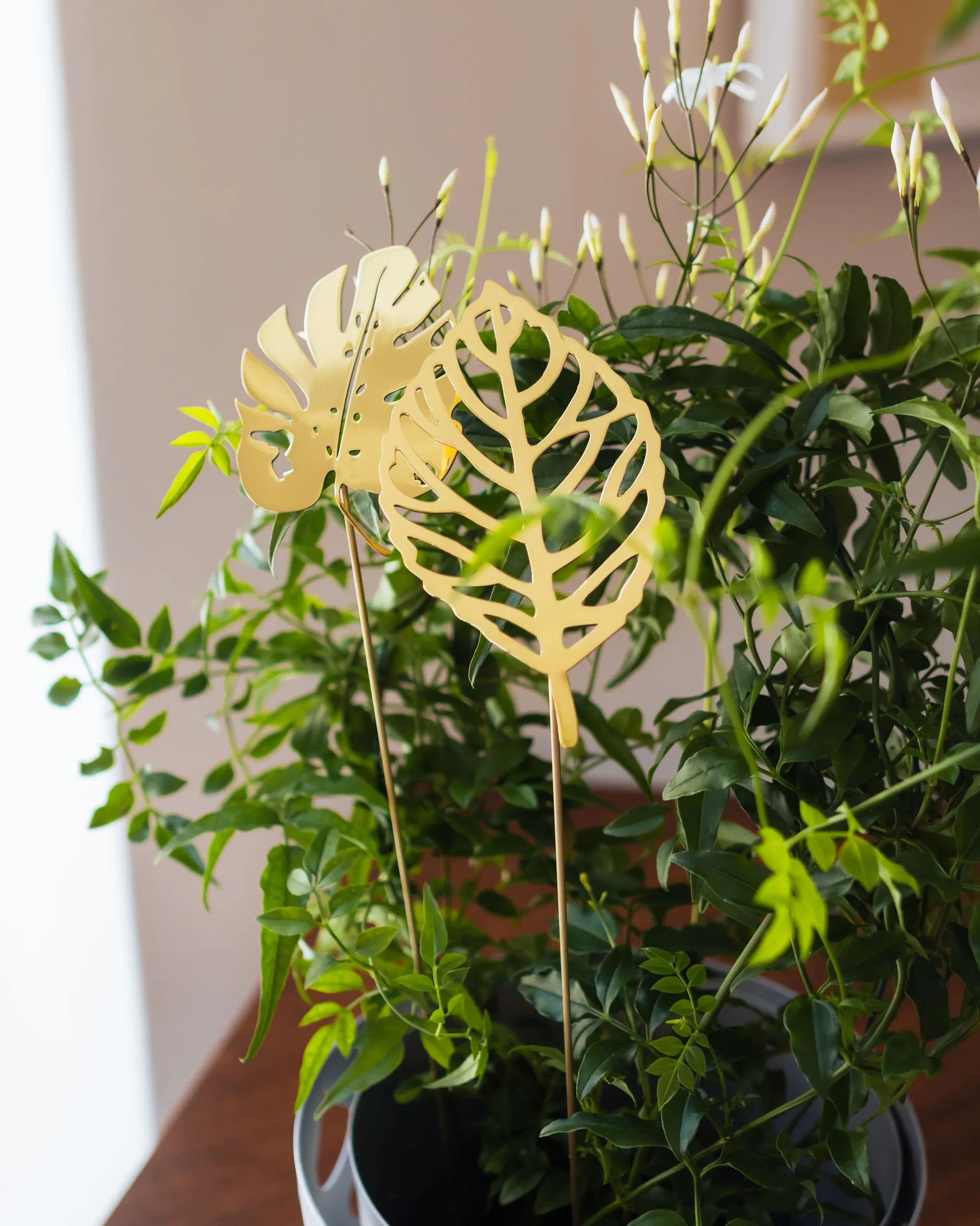 Decoração Brass Leaves, 2 peças, Wood KLONG