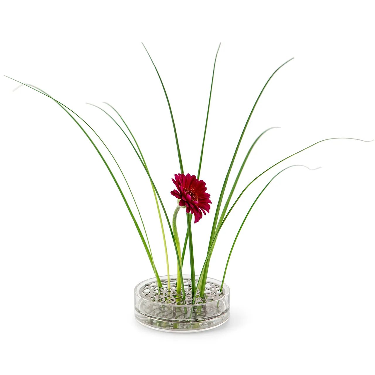 Vaso Äng, pond, Aço inoxidável KLONG