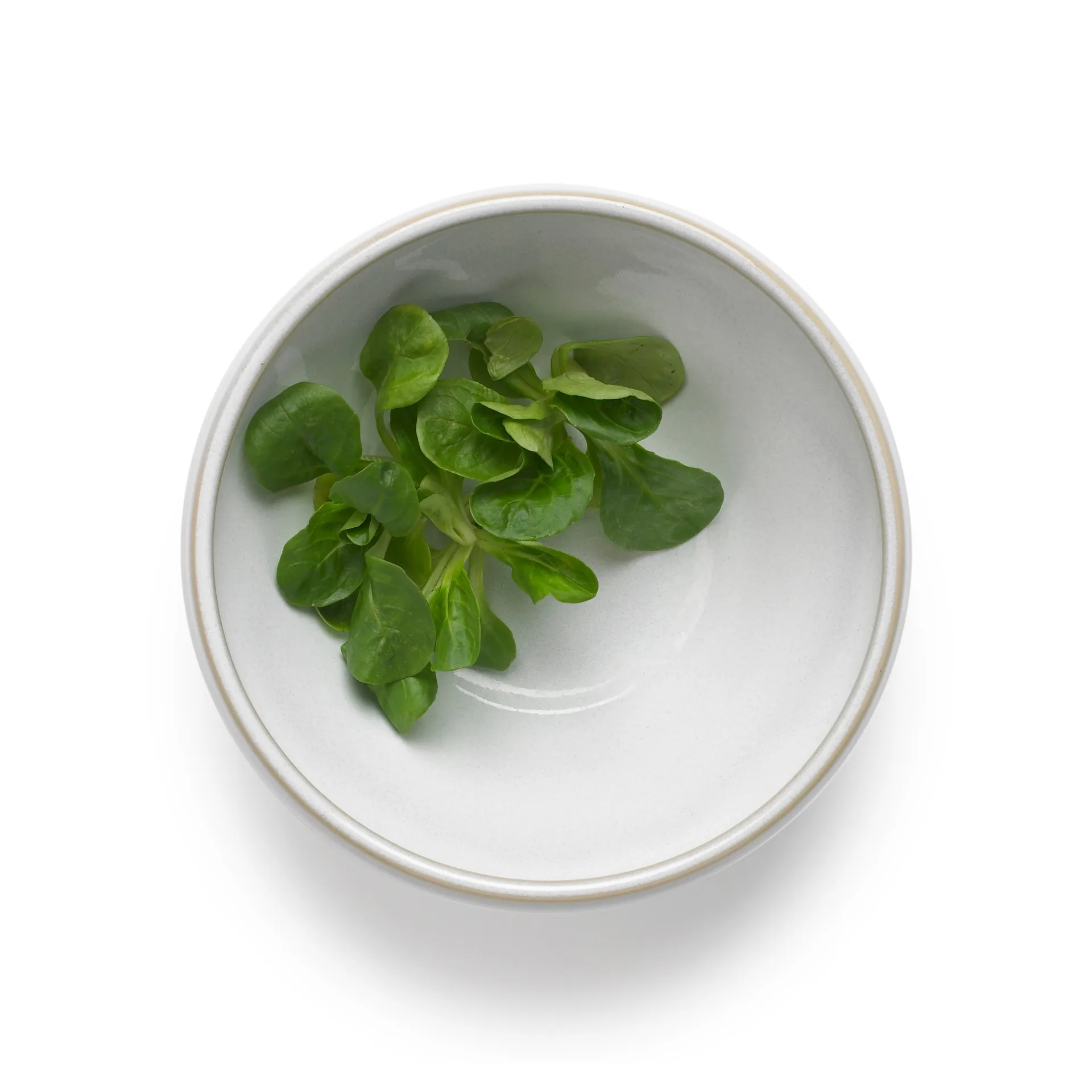 Tigela de massa Tavola 0,5 L, 2 un., Branco Knabstrup Keramik