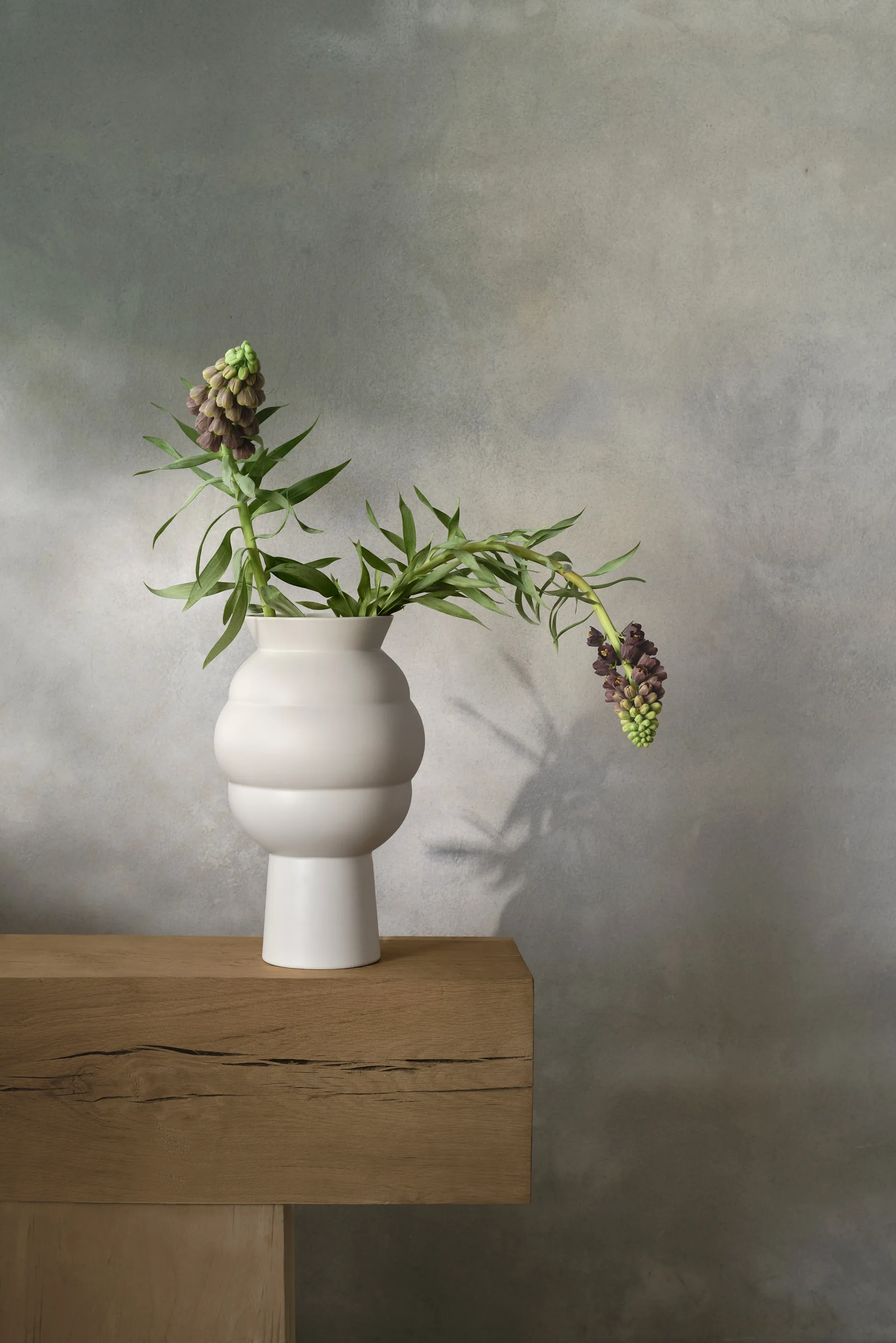 Tortus Archie vaso No4 37 cm, Branco Knabstrup Keramik