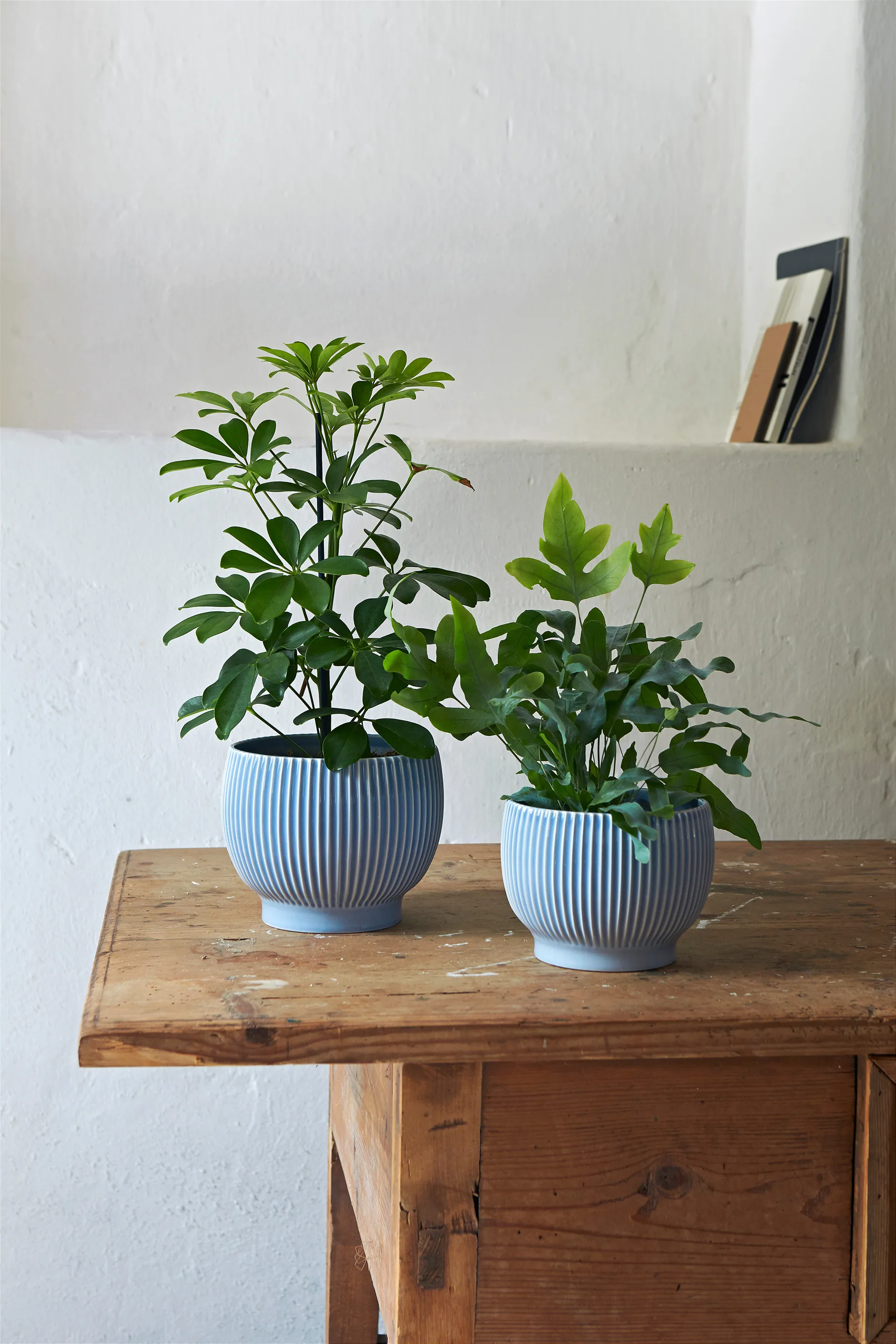 Vaso de flores com relevo Knabstrup Ø14,5 cm, Lavender blue Knabstrup Keramik